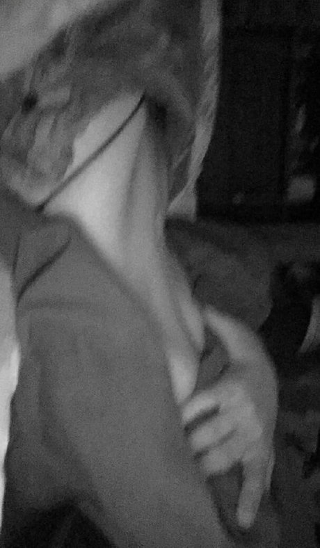 Gray Hawkes hd freie foto