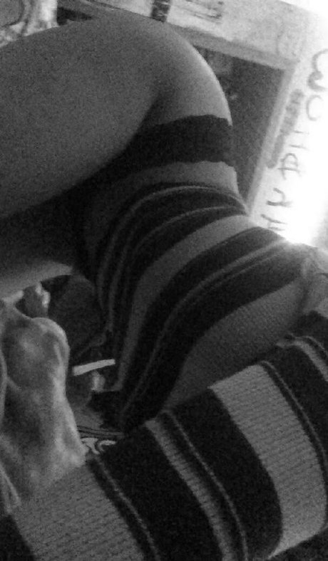 Gray Hawkes beste hübsche bilder