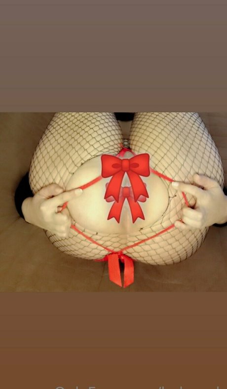 ladypork erwachsene erotische foto