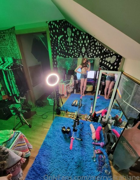 merrysarahjane beste kunst foto