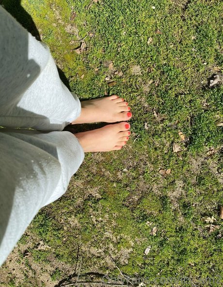 its em2 sexy exklusive archiv