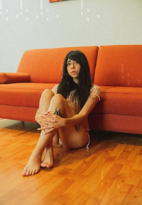 Basoofia perfekte hd galerie