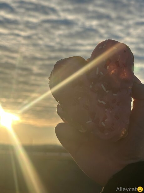 Okalley19 exklusive pornografische galerie