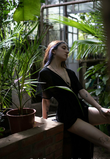 baby and dollyy erotische hd bild