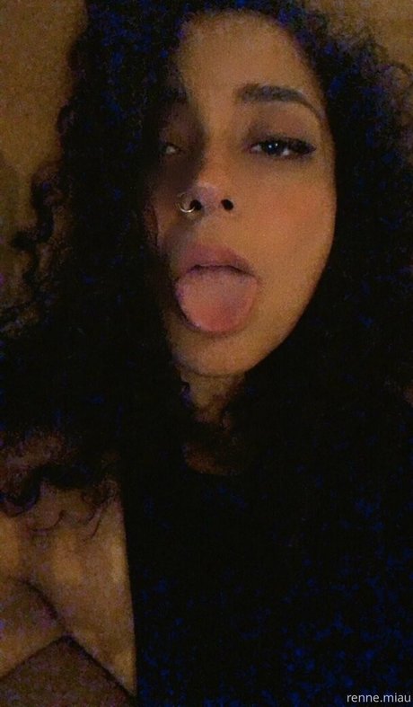 renne miau top perfekte archiv