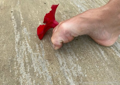 missmatriarch top beste bilder