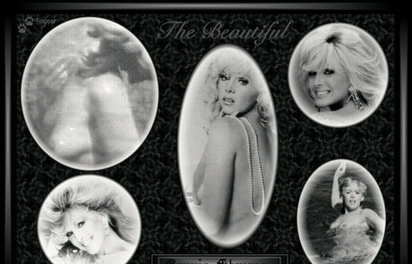 Connie Stevens sexy perfekte bilder