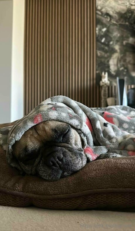 bianoir kostenlose nackt galerie