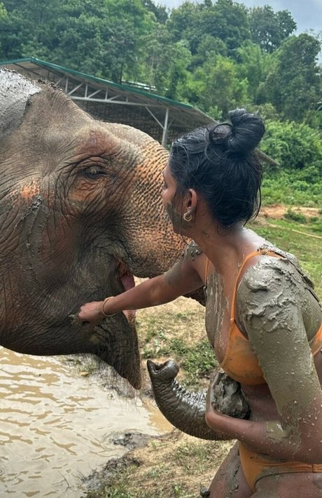 Venorika exklusive xxx galerie