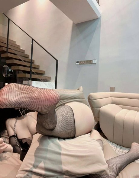 zuo gongzi erwachsene hd bilder