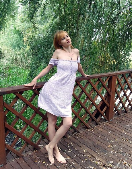 naturallilie perfekte heiße archiv