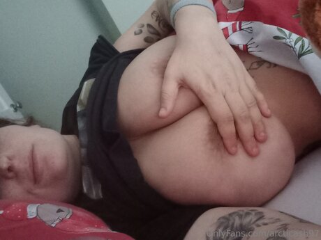 arcticash97 model freie archiv