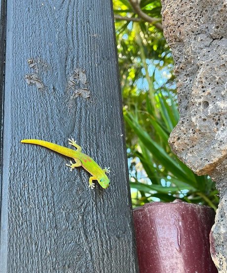 Anika Grace perfekte sexy fotos