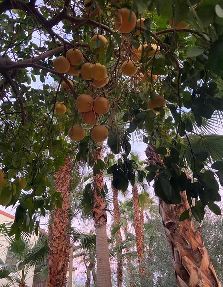 lilrosiedoll xxx heiße archiv