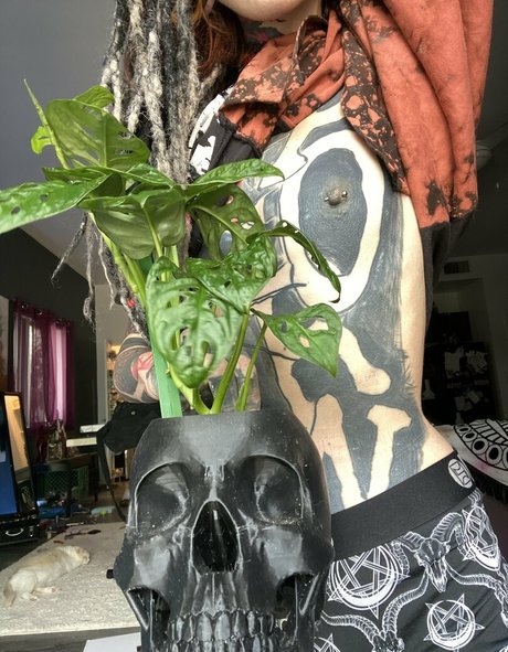 kota morgue kunst kostenlose fotos