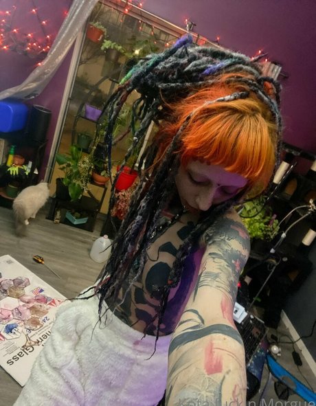 kota morgue exklusive erotische bild