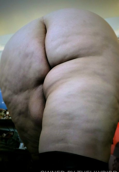 amateur-shemale onlyfans freie pornografische bild