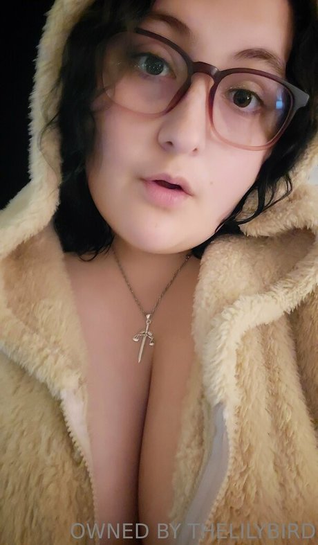 schwulenvideos nur fans hd heiße bild