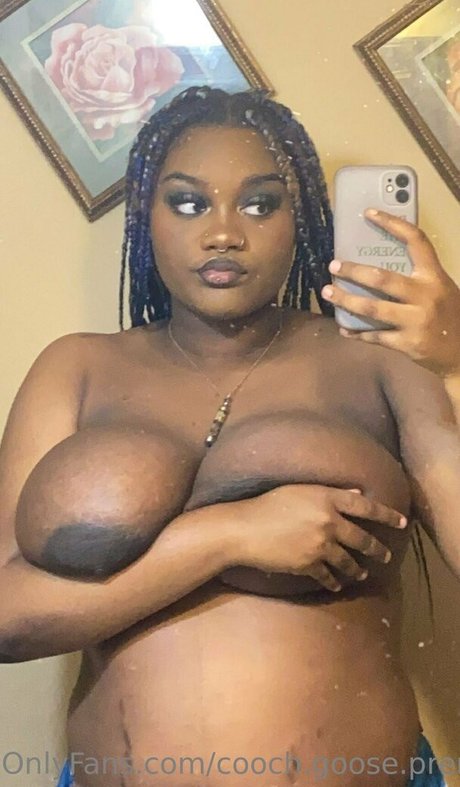 cooch goose premium kostenlose top galerien