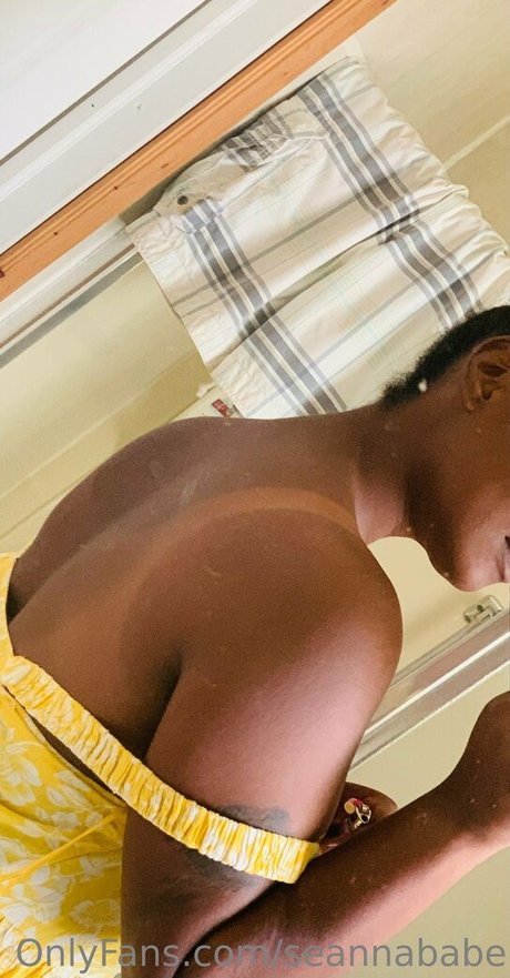 seannababe kunst pornostar galerie