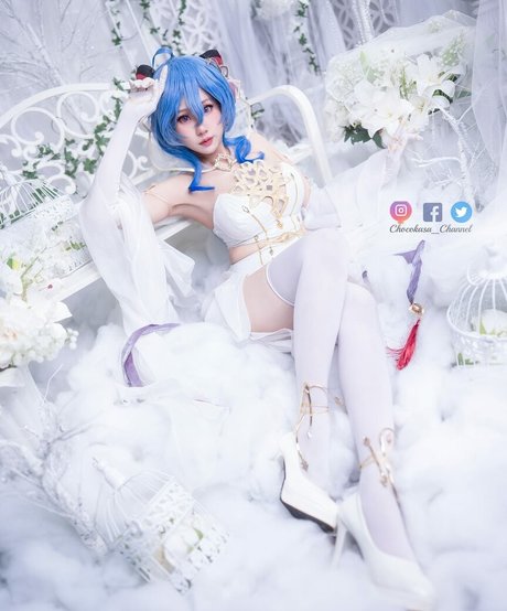 Chocokasa schöne top fotos