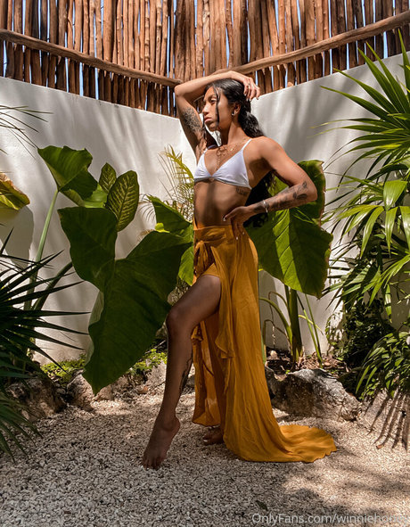 winniehoney pornografische foto