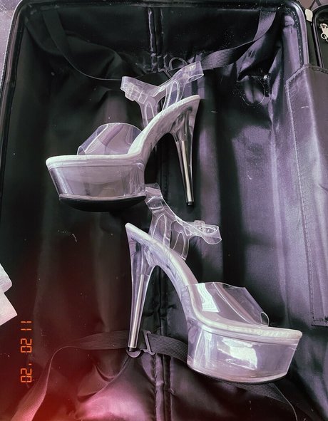 x asianbbw x perfekte pornographische bild