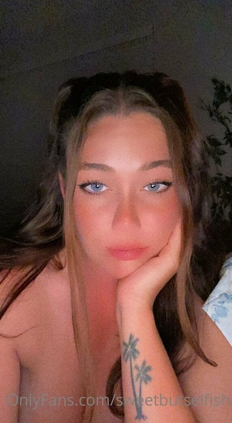 sweetbutselfish perfekte freie bilder