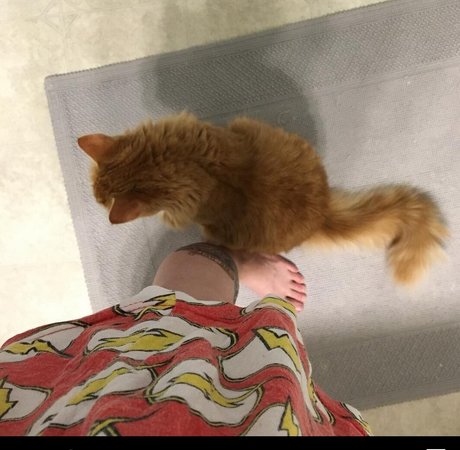 Amanda The Jedi xxx hd galerie