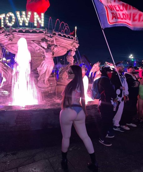 mamibree kunst top foto