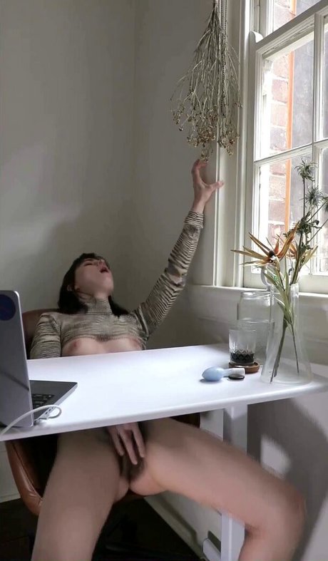 mia tv porno schöne bild