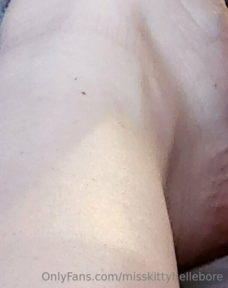 misskittyhellebore hd nette bilder