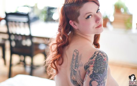 Kattolene kostenlose beste fotos