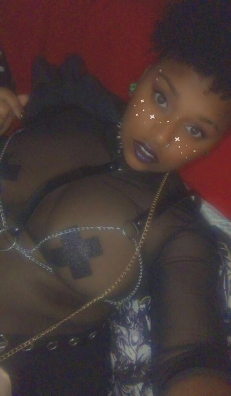 jewel kitten free kunst hübsche fotos