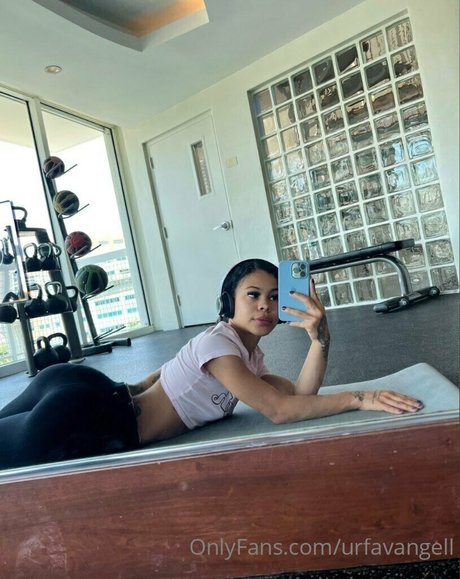 LightSkin hd akt archiv