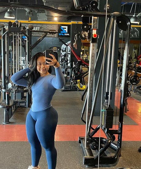 Hai faza exklusive archiv