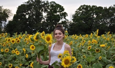 rosecastella beste nette archiv