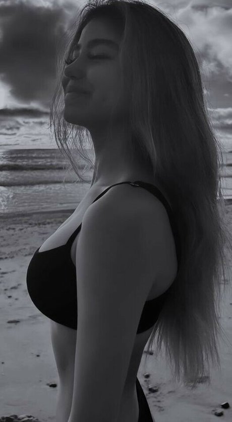 hase kostenlos nur fans kostenlose kunst fotos