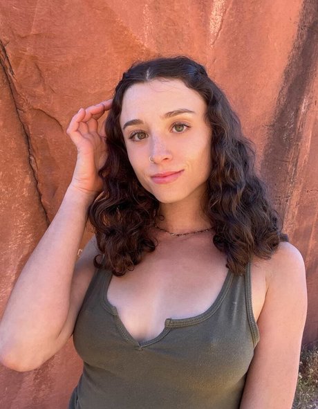 forest fox perfekte schöne bild