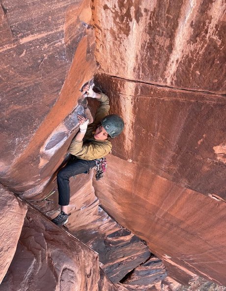 forest fox Profilbild