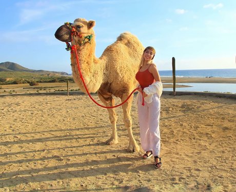 Fatima Guevara Profilbild