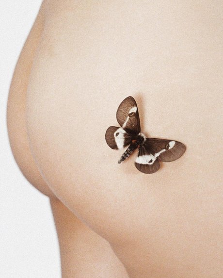 _Sad Samo heiße kunst bild