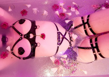 Jazmin Pastela exklusive schöne archiv