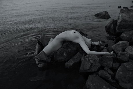 Lena Stepanova Profilbild