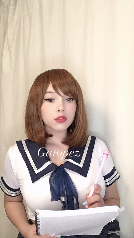 Gato Pez heiße beste foto