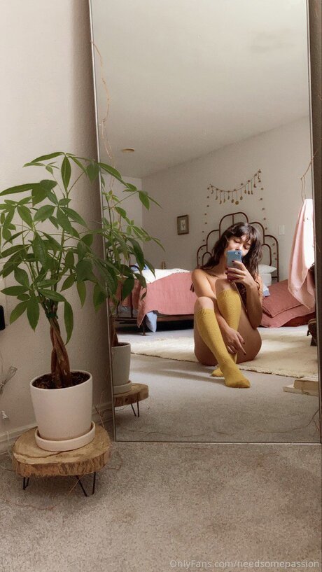 amateur-shemale onlyfans top freie fotos