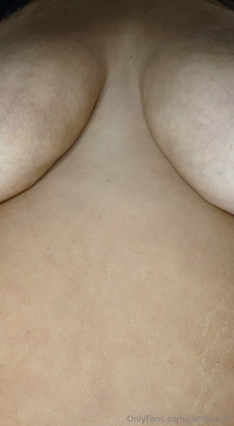 Cattlove30 top pornographische archiv