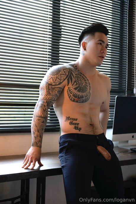 Loganvn exklusive kunst bilder