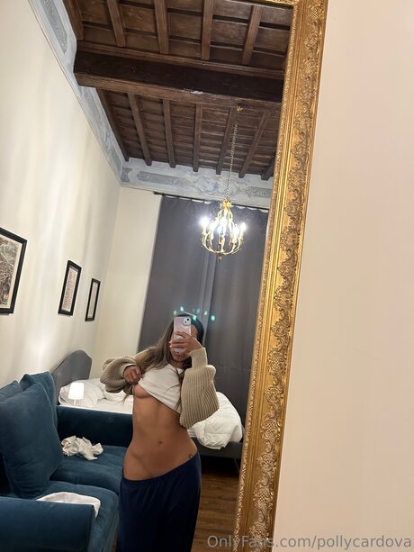 Pollycardova kunst top archiv