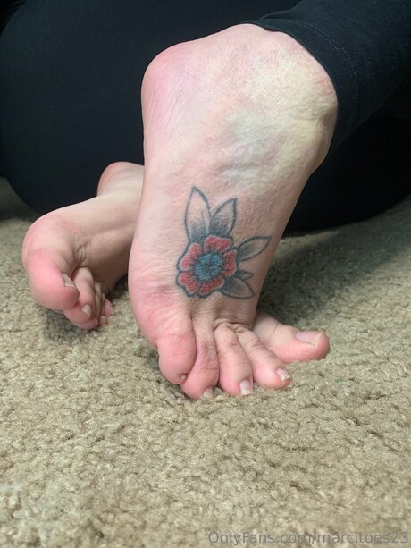 Marcitoes23 hd freie bilder